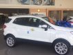Ford EcoSport Titanium 2018 - Cần bán Ford EcoSport Titanium đời 2018, màu trắng, giá chỉ 648 triệu