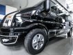 Ford Transit Limousine VIP 2018 - Bán Ford Transit Limousine VIP đời 2018, màu đen