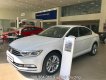 Volkswagen Passat Bluemotion 2018 - Ưu đãi giá sốc xe Volkswagen Passat Bluemotion mới nhập 100%