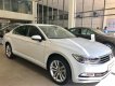 Volkswagen Passat Bluemotion 2018 - Ưu đãi giá sốc xe Volkswagen Passat Bluemotion mới nhập 100%