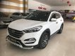 Hyundai Tucson 2.0AT 2016 - Bán xe Hyundai Tucson 2.0AT 2016 - 895 triệu