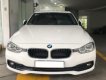 BMW 3 Series 320i  2015 - Bán xe BMW 3 Series sản xuất năm 2015, màu trắng, nhập khẩu như mới