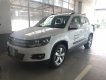 Volkswagen Tiguan 2.0 AT 2016 - Bán Volkswagen Tiguan 2.0 AT sản xuất 2016, màu trắng, xe nhập