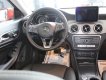 Mercedes-Benz CLA class CLA 200 2018 - Xe Mercedes Benz CLA class CLA 200 2018