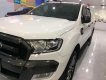 Ford Ranger Wildtrak 3.2L 4x4 AT 2016 - Bán ô tô Ford Ranger 3.2 đời 2016, màu trắng, xe nhập số tự động