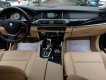 BMW 5 Series 520i 2016 - Bán BMW 5 Series 520i năm 2016, màu đen, nhập khẩu nguyên chiếc