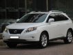 Lexus RX Cũ   350 2010 - Xe Cũ Lexus RX 350 2010