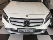 Mercedes-Benz GL Cũ Mercedes-Benz A 2014 - Xe Cũ Mercedes-Benz GLA 2014