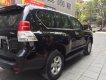 Toyota Land Cruiser Prado TLX 2010 - Bán Toyota Land Cruiser Prado TLX 2010, màu đen, xe nhập số tự động