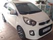 Kia Morning Van 2016 - Bán Kia Morning Van 2016, màu trắng, nhập khẩu  