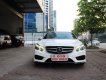 Mercedes-Benz E class AMG 2014 - Bán ô tô Mercedes AMG năm sản xuất 2014, màu trắng