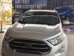 Ford EcoSport Titanium 2018 - Ford Ecosport 2018 Titanium đủ màu giao ngay. Hỗ trợ vay 80%. LH: 090.217.2017