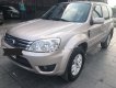 Ford Escape 2009 - Bán xe Ford Escape sản xuất năm 2009, màu hồng phấn