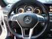 Mercedes-Benz E class AMG 2014 - Bán ô tô Mercedes AMG năm sản xuất 2014, màu trắng