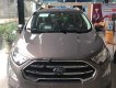Ford EcoSport Titanium 1.5L AT 2018 - Bán ô tô Ford EcoSport Titanium 1.5L AT đời 2018, màu nâu