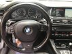 BMW 5 Series 520i 2012 - Cần bán xe BMW 5 Series 520i sản xuất 2012, màu xám, nhập khẩu