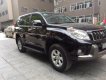 Toyota Land Cruiser Prado TLX 2010 - Bán Toyota Land Cruiser Prado TLX 2010, màu đen, xe nhập số tự động