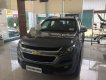 Chevrolet Colorado High Country 2.8L 4x4 AT 2018 - Bán xe Chevrolet Colorado High Country 2.8L 4x4 AT 2018, màu xám, xe nhập, 789tr
