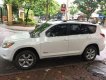 Toyota RAV4 2007 - Bán ô tô Toyota RAV4 năm 2007, màu trắng, nhập khẩu chính chủ giá cạnh tranh