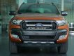 Ford Ranger Mới   Wildtrak 3.2 4x4 2018 - Xe Mới Ford Ranger Wildtrak 3.2 4x4 2018