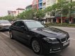 BMW 5 Series 520i 2015 - Cần bán BMW 5 Series 520i đời 2016, màu đen, nhập khẩu nguyên chiếc chính chủ