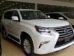 Lexus GX 460 2010 - Cần bán Lexus Gx460 sản xuất 2010 ,đã lên model 2015