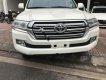 Toyota Land Cruiser VX 4.6 V8 2016 - Bán xe Toyota Land Cruiser VX 4.6 V8 sản xuất 2016, màu trắng, xe nhập