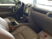 Lexus GX 460 2010 - Cần bán Lexus Gx460 sản xuất 2010 ,đã lên model 2015