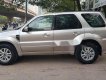 Ford Escape 2008 - Bán xe Ford Escape 2008, màu vàng cát