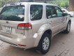 Ford Escape 2008 - Bán xe Ford Escape 2008, màu vàng cát