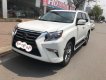 Lexus GX 460 2010 - Bán ô tô Lexus GX 460 2010, màu trắng, nhập khẩu