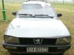 Peugeot 505   1995 - Bán Peugeot 505 đời 1995, màu xám, xe nhập xe gia đình, giá tốt