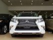 Lexus GX 460 2010 - Cần bán Lexus Gx460 sản xuất 2010 ,đã lên model 2015