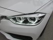 BMW 3 Series 320i 2016 - Bán BMW 3 Series 320i đời 2016, màu trắng, nhập khẩu nguyên chiếc số tự động