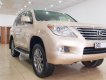 Lexus LX 570 2009 - Bán xe Lexus LX 570 sản xuất năm 2009, nhập khẩu nguyên chiếc chính chủ