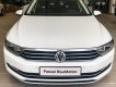 Volkswagen Passat GP 2016 - Cần bán Volkswagen Passat GP đời 2017, màu trắng, trả trước 400 triệu