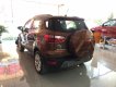 Ford EcoSport 1.5 titanium 2018 - Bán ô tô Ford EcoSport 1.5 titanium đời 2018, màu nâu lướt nhẹ như chưa lăn bánh