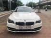 BMW 5 Series 520i 2016 - Cần bán lại xe BMW 5 Series 520i đời 2016, màu trắng, nhập khẩu