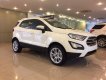 Ford EcoSport 2018 - Cần bán Ford EcoSport đời 2018, màu trắng