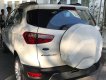 Ford EcoSport Titanium 1.5 2018 - Bán Ford Ecosport Titanium 2018 tại Thủ Đức