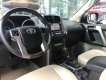 Toyota Prado 2009 - Cần bán xe Toyota Prado sản xuất năm 2009, màu vàng, nhập khẩu