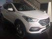 Hyundai Santa Fe Mới 2018 - Xe Mới Hyundai Santa FE 2018