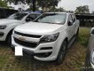 Chevrolet Colorado 2017 - Cần bán Chevrolet Colorado năm 2017, màu trắng, nhập khẩu nguyên chiếc