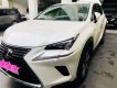 Lexus NX  300 2017 - Bán Lexus NX 300 sản xuất 2017, màu trắng, xe nhập  