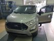 Ford EcoSport Ambiente 1.5L MT 2018 - Bán Ford EcoSport Ambiente 1.5L MT đời 2018, màu nâu