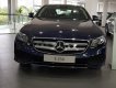 Mercedes-Benz E class E250 2018 - Bán xe Mercedes E250 đời 2018, màu xanh lam