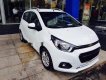 Chevrolet Spark 2018 - Cần bán Chevrolet Spark sản xuất năm 2018, màu trắng, giá chỉ 389 triệu