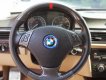 BMW 3 Series 320i 2009 - Bán ô tô BMW 3 Series 320i đời 2010, màu đỏ, nhập khẩu