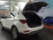 Hyundai Santa Fe 2018 - Bán Hyundai Santafe giá chỉ từ 919 triệu, hỗ trợ trả góp