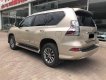 Lexus GX Cũ   450 2016 - Xe Cũ Lexus GX 450 2016